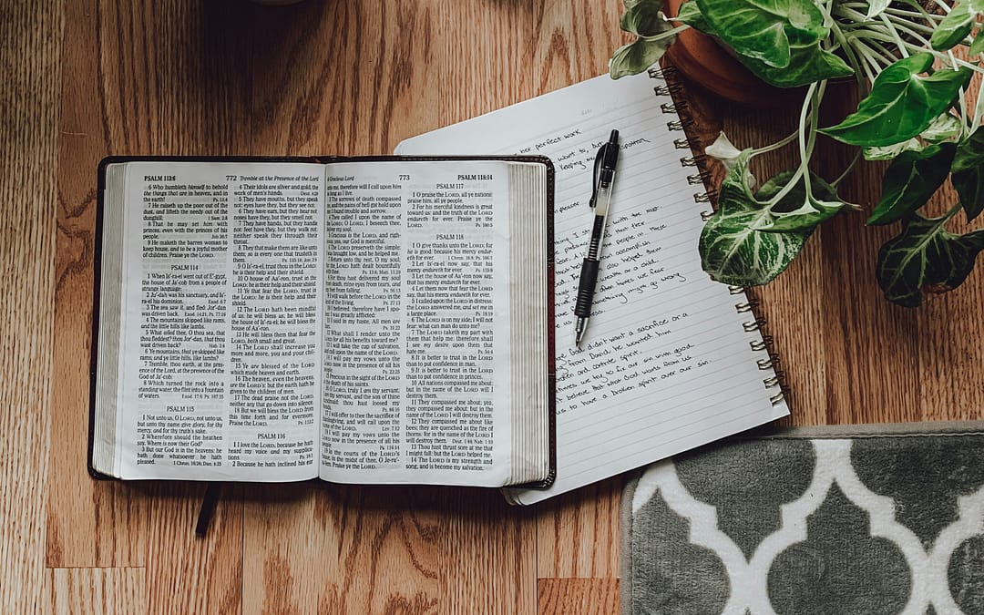 Understanding the Different Types of Books in the Bible