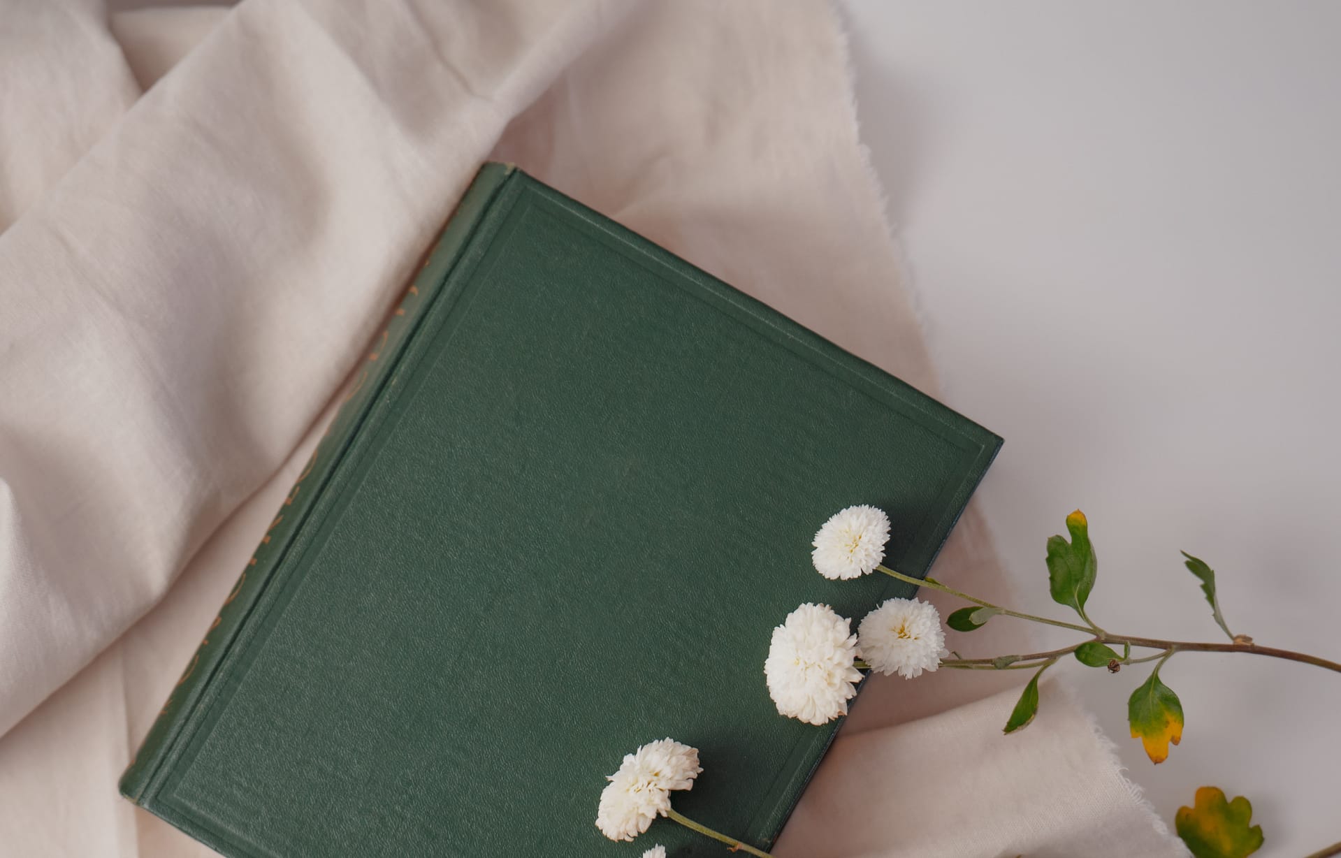 Written in the margins Bible study notes on Genesis 12 Bible margin notes with word definitions from Genesis