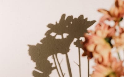 Repentance, the Wilderness, and Living Faithfully