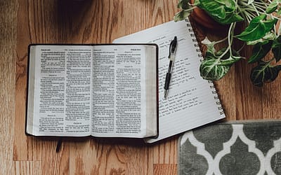 Understanding the Different Types of Books in the Bible