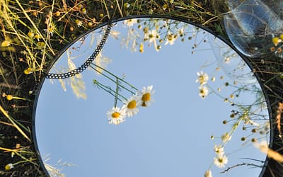 Genesis Is Not Just the Beginning